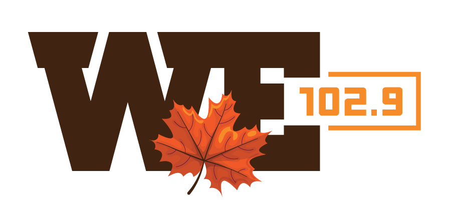 WE 102.9 Logo